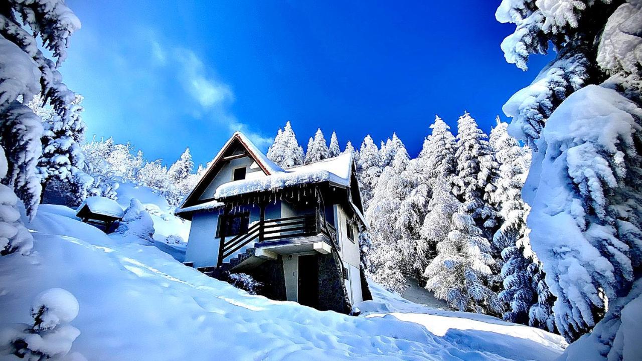 Mountain Cottage Lubomierz Lubomierz  Exterior photo
